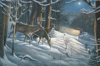 The Old Days Whitetail Deer by Anderson Art framed wall art