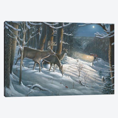 The Old Days Whitetail Deer Canvas Print #AOA29} by Anderson Art Canvas Art