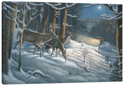 The Old Days Whitetail Deer Canvas Art Print - Anderson Art