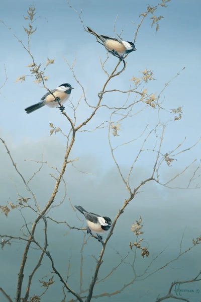 Bandits Chickadees by Anderson Art framed wall art