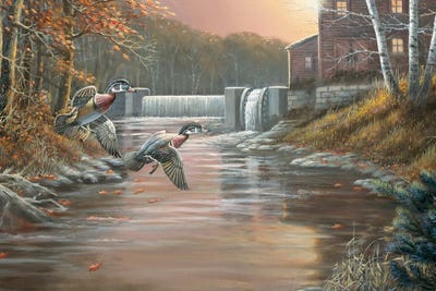 The Old Mill Wood Ducks by Anderson Art framed wall art
