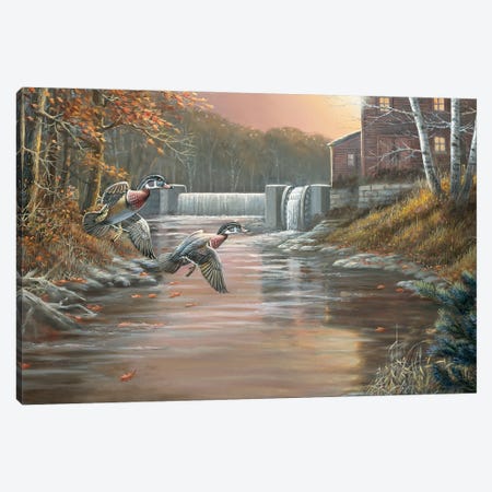 The Old Mill Wood Ducks Canvas Print #AOA30} by Anderson Art Canvas Print