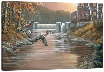 The Old Mill Wood Ducks Canvas Art Print - Watermill & Windmill Art
