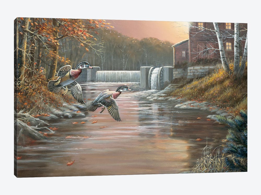 The Old Mill Wood Ducks by Anderson Art 1-piece Canvas Print