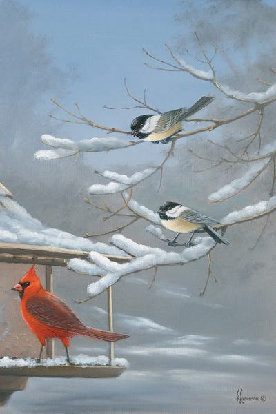 The Standoff Cardinal And Chickadee by Anderson Art framed wall art