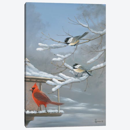 The Standoff Cardinal And Chickadee Canvas Print #AOA32} by Anderson Art Canvas Art Print