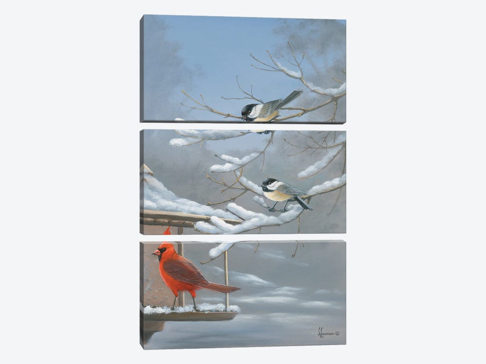 The Standoff Cardinal And Chickadee by Anderson Art 3-piece Canvas Print