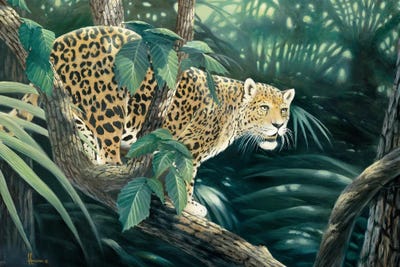 Vantage Point Jaguar by Anderson Art canvas print