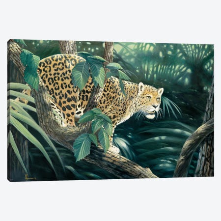Vantage Point Jaguar Canvas Print #AOA33} by Anderson Art Canvas Art Print