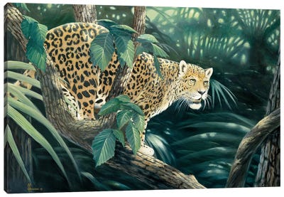 Vantage Point Jaguar Canvas Art Print - Anderson Art