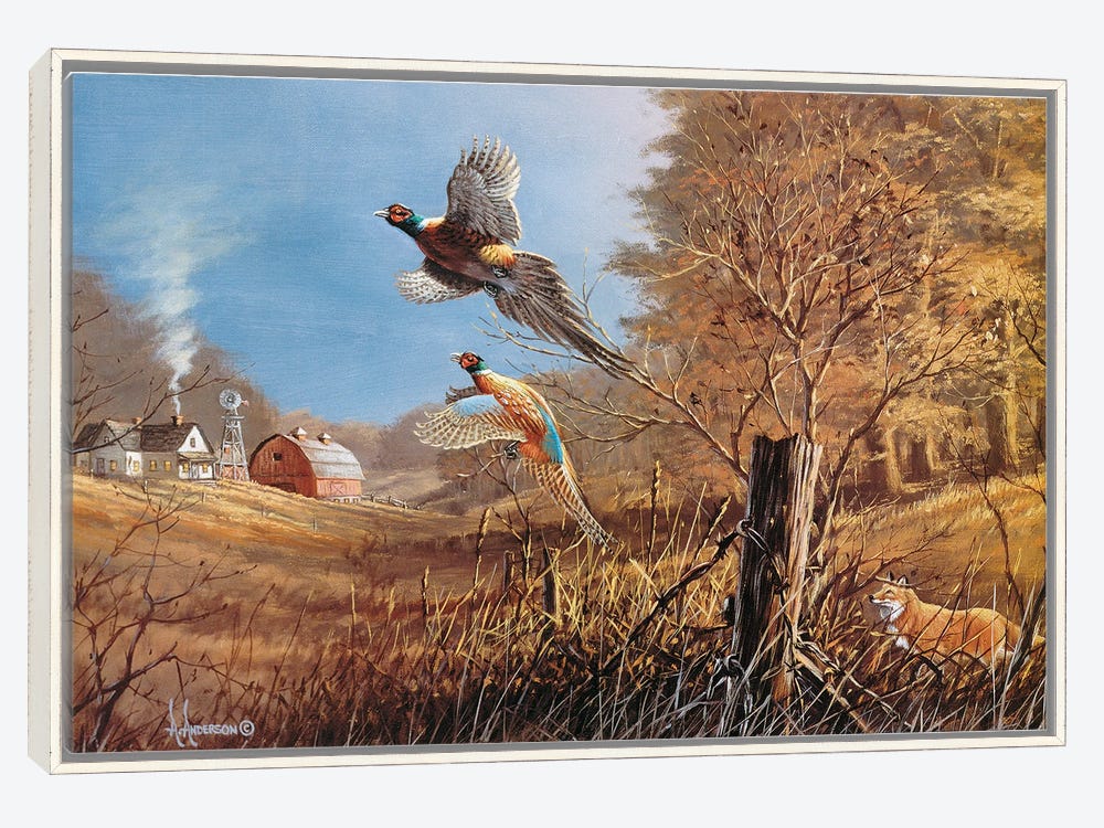All Made Up With Nowhere to Go, 8x10, framed pheasant painting
