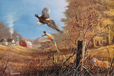 Pheasants