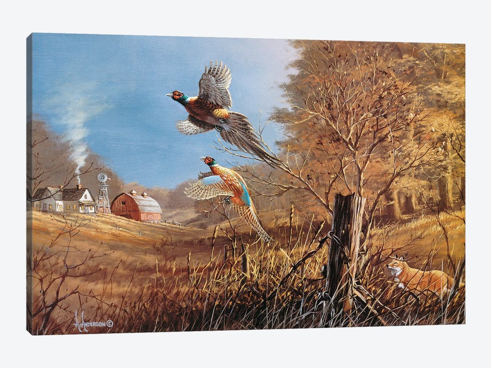 We're Ot'ta Here Pheasants by Anderson Art 1-piece Canvas Art Print
