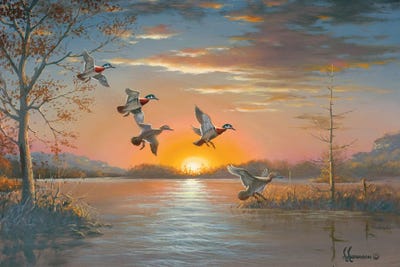 Cozy Cove Wood Ducks by Anderson Art framed wall art