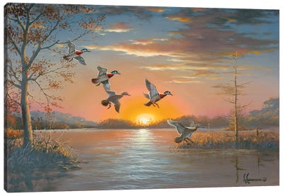 Cozy Cove Wood Ducks Canvas Art Print - Duck Art