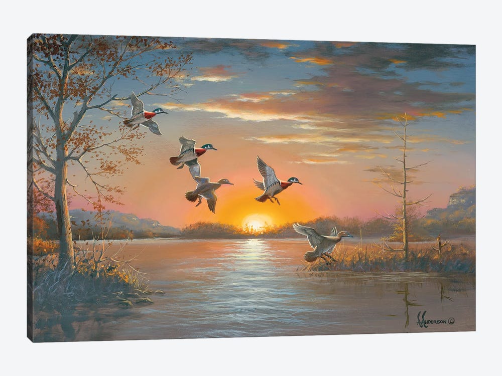 Cozy Cove Wood Ducks by Anderson Art 1-piece Canvas Artwork