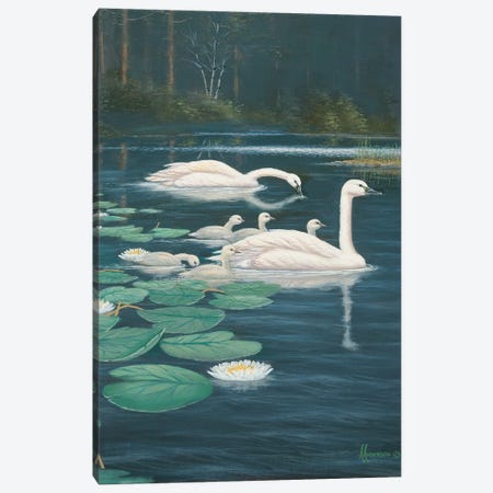 Family Outing Swans Canvas Print #AOA9} by Anderson Art Canvas Art