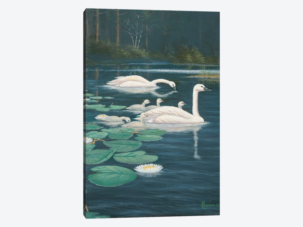 Family Outing Swans by Anderson Art 1-piece Canvas Art Print