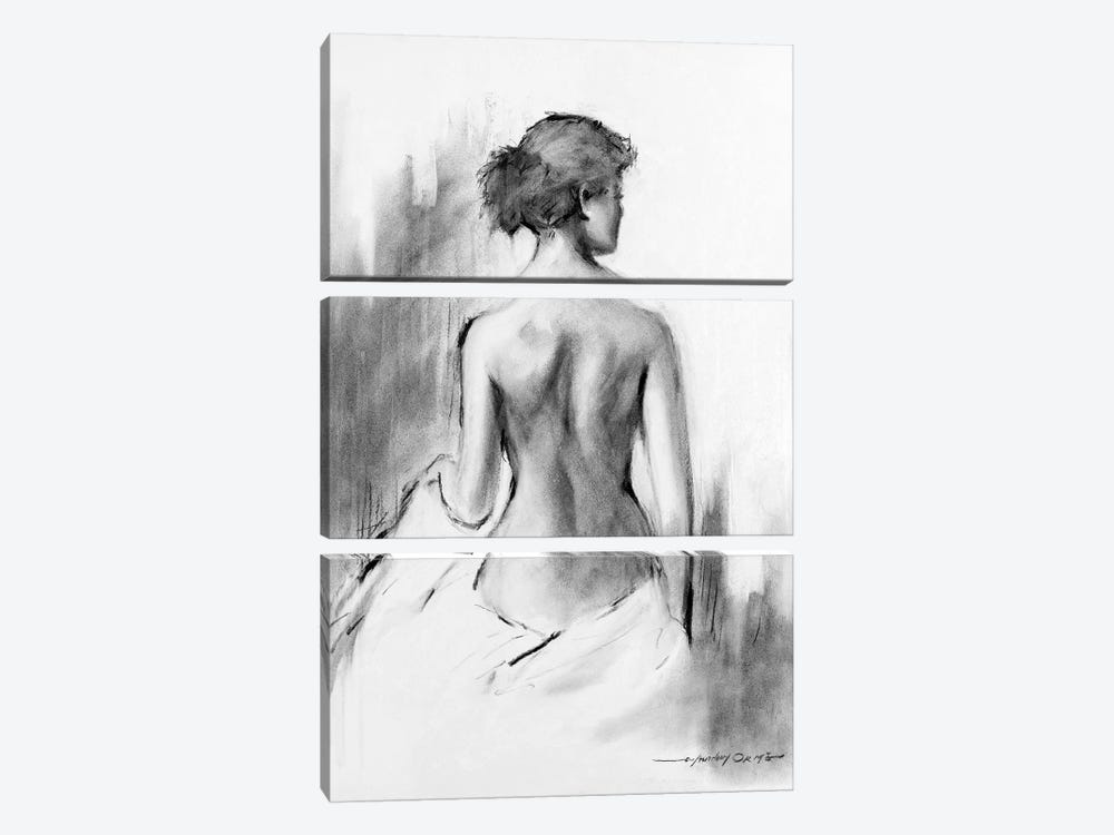 Soft Silhouette IV by E. Anthony Orme 3-piece Canvas Art Print