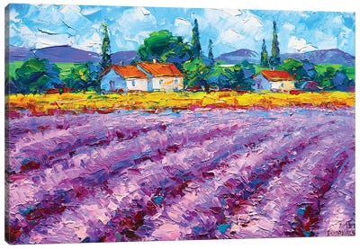 Provence Canvas Art Print - Andrej Ostapchuk