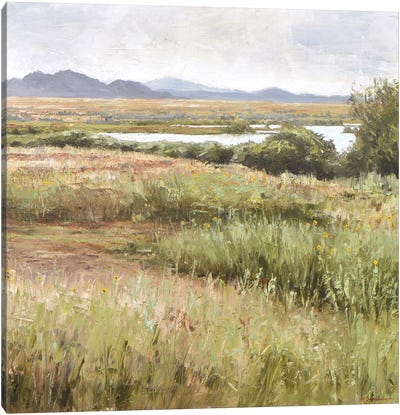 Stanley Lake II Canvas Art Print