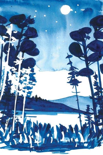 Subtle Landscapes: Moon Light by Ana Ozz