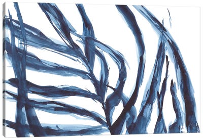 Large Blue Leaves Canvas Art Print - Ana Ozz
