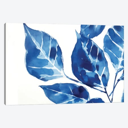 Blue Leaves II Canvas Print #AOZ218} by Ana Ozz Art Print