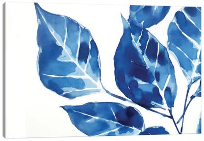 Blue Leaves II Canvas Art Print - Blue & White Art