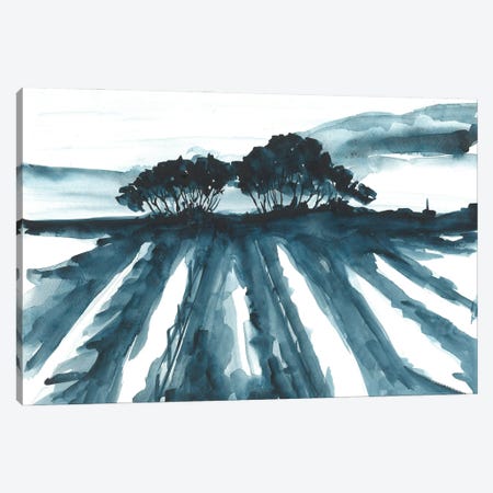 Blue Field Canvas Print #AOZ3} by Ana Ozz Canvas Wall Art