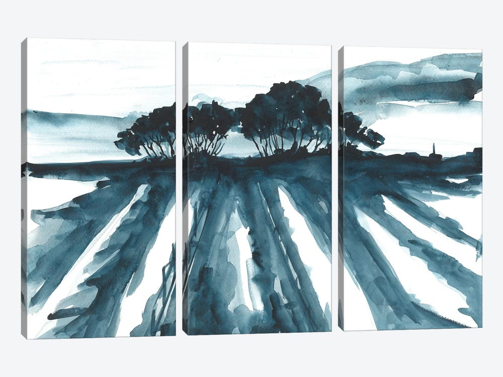 Blue Field by Ana Ozz 3-piece Canvas Art