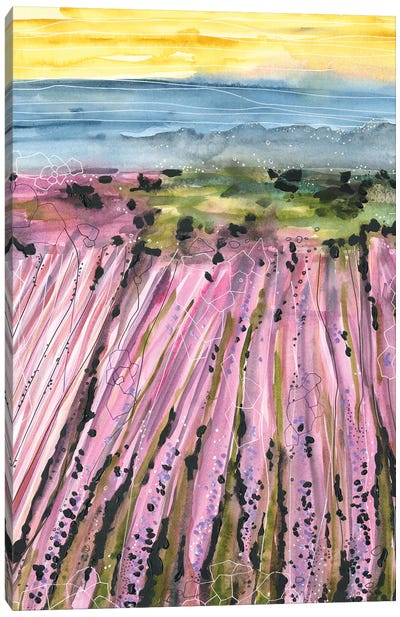 Watercolor Purple Lavender Fields Canvas Art Print - Ana Ozz