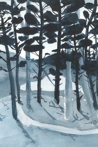 Blue Forest, Snowboarding Route by Ana Ozz canvas print