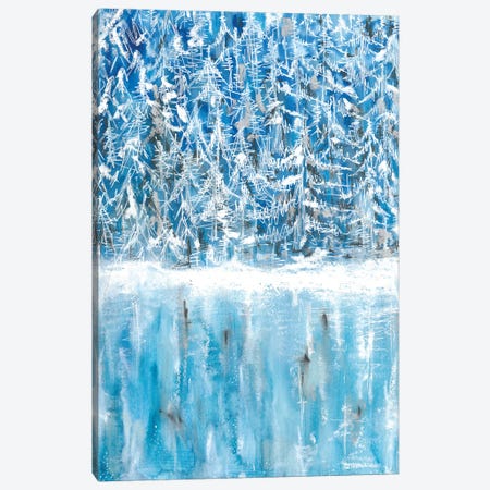 Fantstic Winter Snowy Reflection Canvas Print #AOZ56} by Ana Ozz Canvas Art Print
