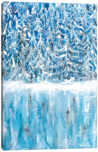 Fantstic Winter Snowy Reflection Canvas Art Print - Ana Ozz