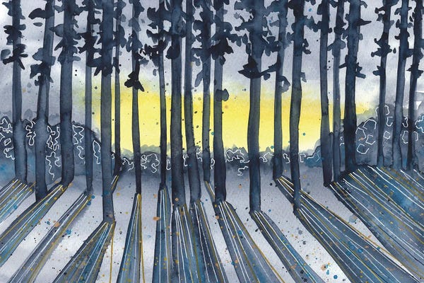 Ana Ozz: Blue Sunset In The Forest by Ana Ozz