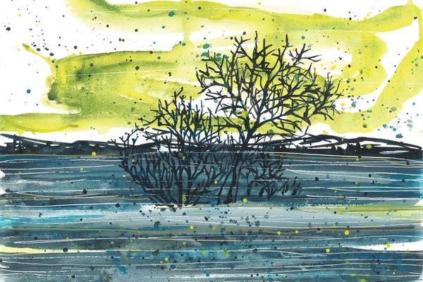 Ana Ozz: Blue Sunny Watercolor Landscape, Trees by Ana Ozz
