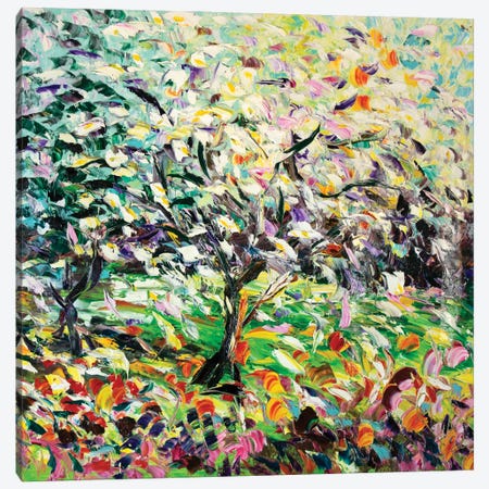 Sour Cherries Canvas Print #APF16} by Antonino Puliafico Canvas Art
