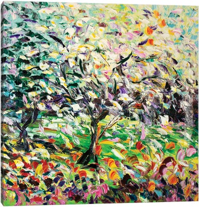 Sour Cherries Canvas Art Print - Antonino Puliafico