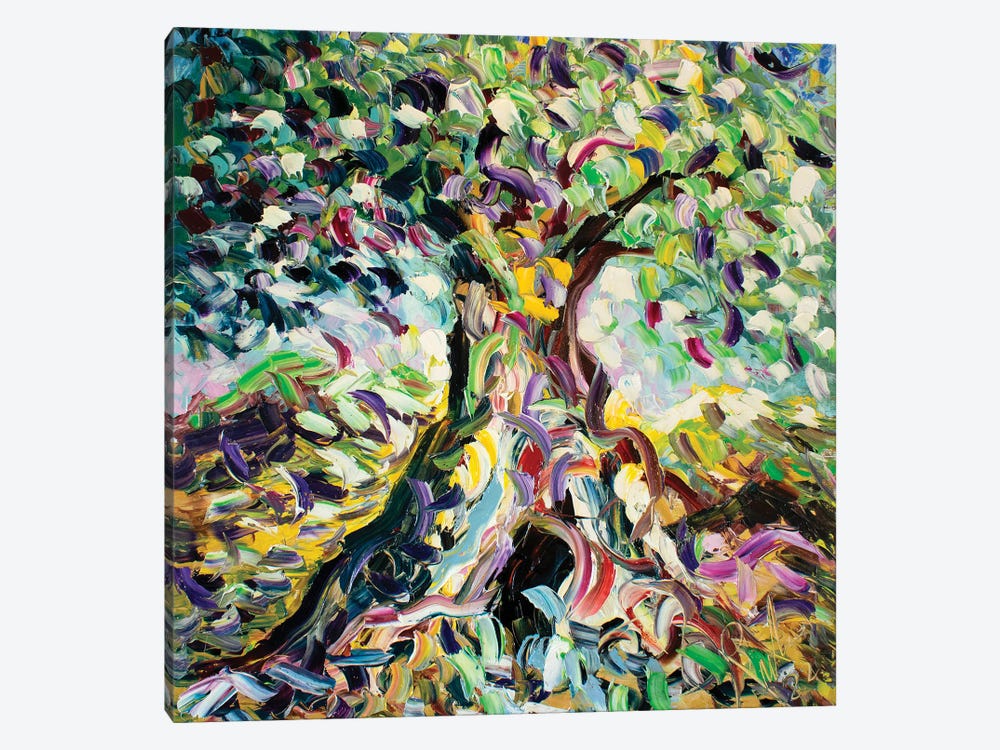 Reflections Of Olive Tree by Antonino Puliafico 1-piece Art Print