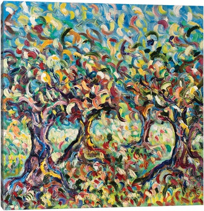 Field Of Olive Trees Canvas Art Print - Antonino Puliafico