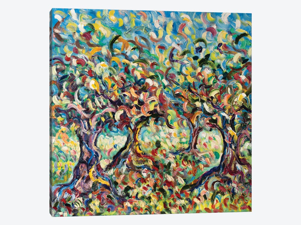 Field Of Olive Trees by Antonino Puliafico 1-piece Canvas Wall Art