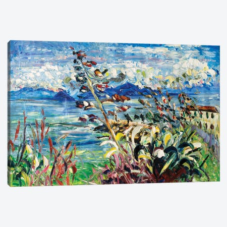 Agave And Blue Sky Canvas Print #APF62} by Antonino Puliafico Canvas Art