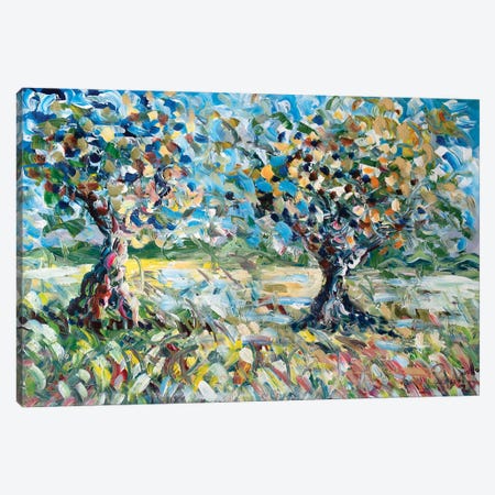 Two Cherry Trees Canvas Print #APF64} by Antonino Puliafico Canvas Print