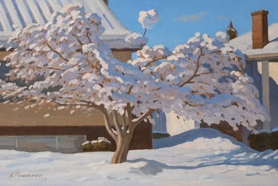 Sunny Winter Day by Andrey Pingachev acrylic art print