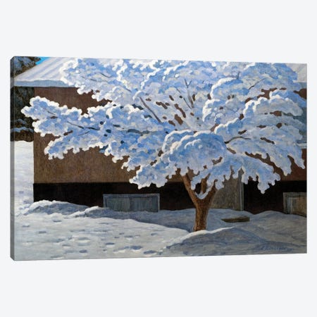 First Snow Canvas Print #APG15} by Andrey Pingachev Art Print