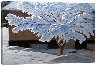 First Snow Canvas Art Print - Andrey Pingachev