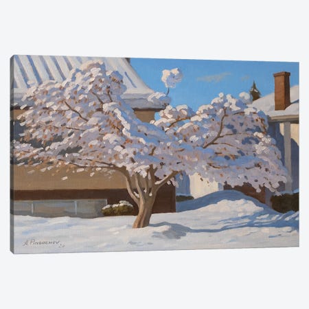 Sunny Winter Day Canvas Print #APG1} by Andrey Pingachev Canvas Print