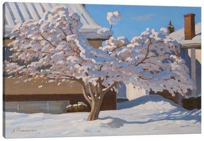 Sunny Winter Day Canvas Art Print - Andrey Pingachev