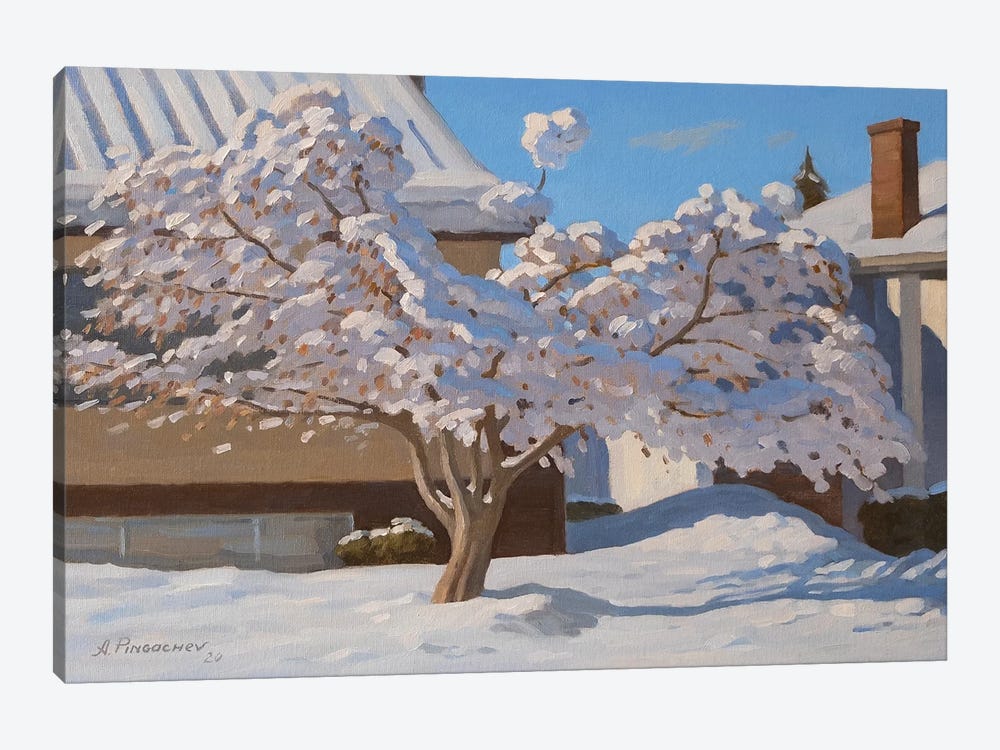 Sunny Winter Day by Andrey Pingachev 1-piece Canvas Artwork